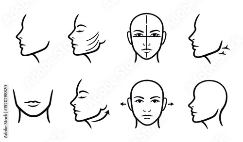 Facial profiles and frontal guides showing proportions and adjustments