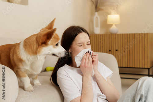 Vászonkép Woman sneezing into tissue while sitting near corgi dog on sofa indoors