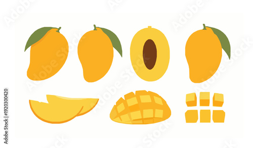 Tropical mango vector set with whole sliced and diced fruit on white background