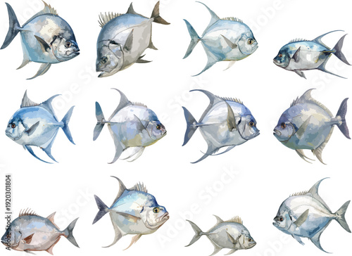 Watercolor Moonfish Marine Life Clipart Set
