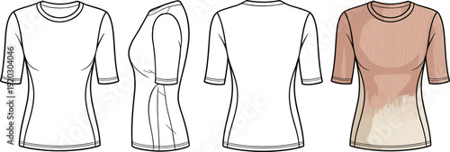 Women Rib Knit Short Sleeve Top CAD Flat Template Front Side Back Fashion Apparel Vector Illustration