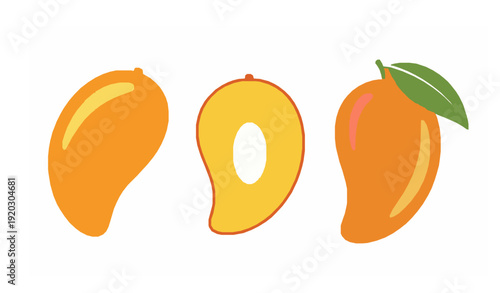 Stylized mango illustration collection with whole and cut tropical fruits