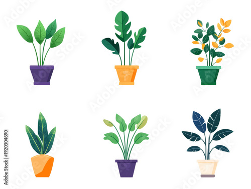Set of Decorative Indoor Potted Plants Vector Illustration Collection