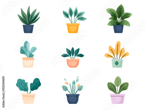 Set of Decorative Indoor Potted Plants Vector Illustration Collection