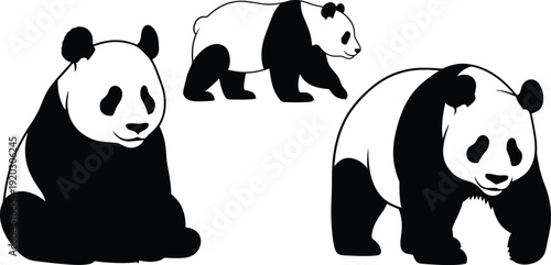 Panda bear silhouette vector set with sitting, walking and standing poses, black and white wild animal illustration isolated on white background