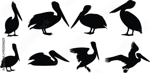 Silhouettes of seven pelicans in standing, sitting, walking, and flying poses, artistic minimalist composition highlighting bird anatomy, motion, behavior, and natural avian design.
