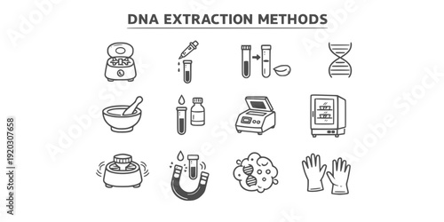 DNA Extraction Methods Isolation Purification Sample Processing Laboratory Molecular Biology Protocol Techniques Vector Icon Set - DNA Isolation
