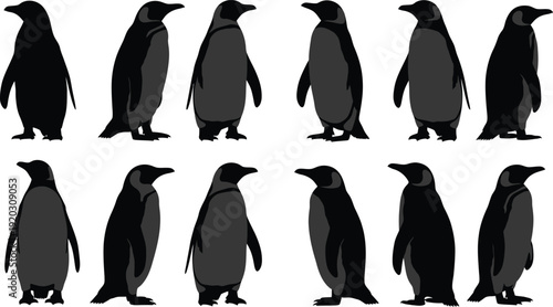 Vector penguin silhouettes isolated on transparent background
