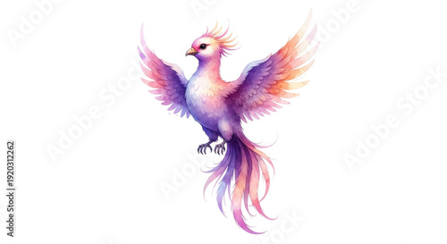 Watercolor Phoenix Bird Rising