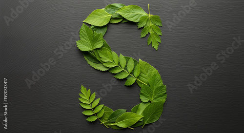 Sustainable earth concept represented by leaves forming the letter S on a dark surface