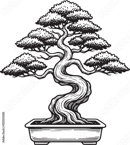 Detailed Black and White Ink Sketch of a Potted Bonsai Tree