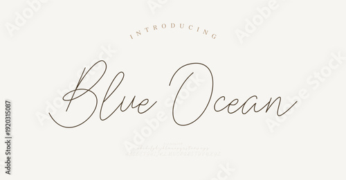 Blue Ocean, signature Font Calligraphy Logotype Script Brush Font Type Font lettering handwritten
