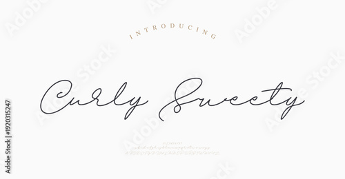 Curly Sweety, Beauty Luxury Script font alphabet logo. Typography beautiful fashion elegant classic letters serif italic fonts decorative wedding vintage retro logos. vector illustration
