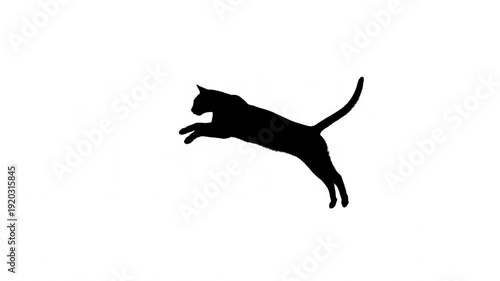 Graceful cat leaping silhouette: sequential action captured in motion