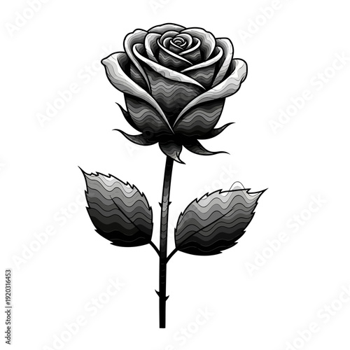 Black and White Rose Illustration with Stem and Leaves