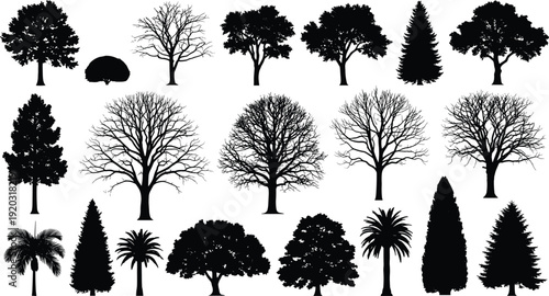Tree silhouette illustration set, deciduous, coniferous, palm varieties, diverse botanical structures, landscape and ecological design theme - flat vector illustration