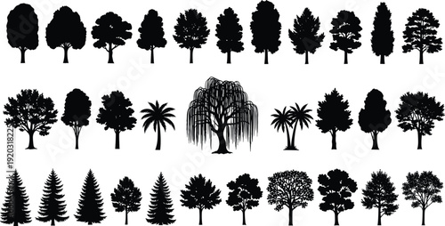 Tree silhouette illustration set, diverse species including broadleaf, conifer, palm, willow, landscape and botanical study theme - flat vector illustration