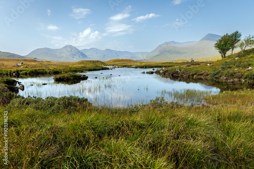 Mountain landscape with a lochan and heather on Rannoch Moor Scotland