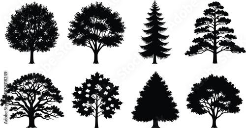 Tree silhouette vector illustration, diverse species with unique foliage and shapes - botanical and landscape design artwork