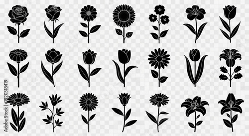 Collection of black floral silhouettes on transparent background for design and decoration