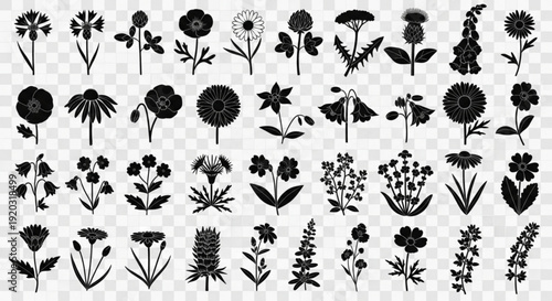 Collection of black floral silhouettes on transparent background various flowers and plants