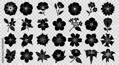 Collection of black floral silhouettes on transparent background various flower types and shapes