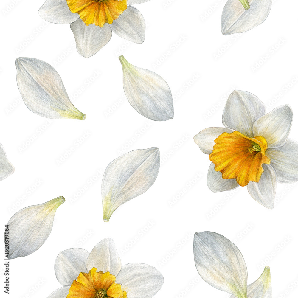 Fototapeta premium Seamless watercolor pattern with white narcissus flowers and scattered white petals. Perfect for fabric, wallpaper, wrapping paper, packaging and stationery design.