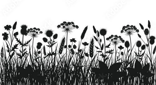 Silhouette of Wildflowers and Grasses Border Design.