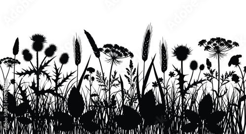 Silhouette of Wildflowers and Grasses Border.