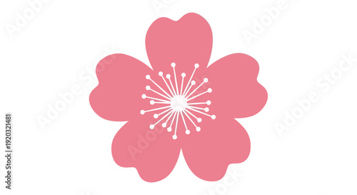 Simple Pink Cherry Blossom Flower Illustration.