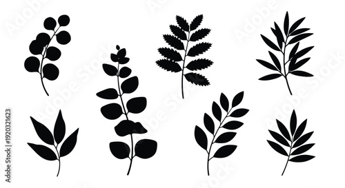 Collection of Black Silhouette Botanical Elements and Leaves.