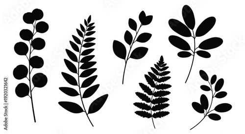Collection of Black Silhouette Botanical Plant Leaves and Branches.