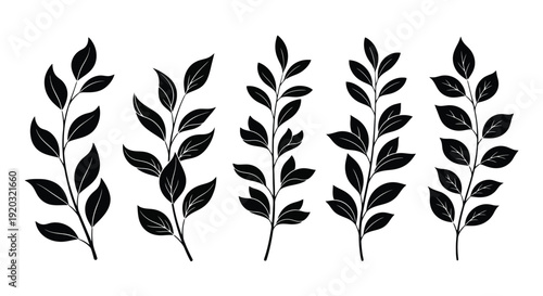 Set of Five Black Botanical Branch Illustrations.