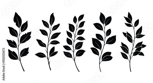 Set of Five Black Silhouette Botanical Branches with Leaves.