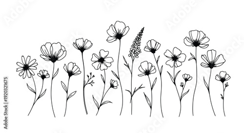 Elegant Hand Drawn Wildflower Illustration Collection.
