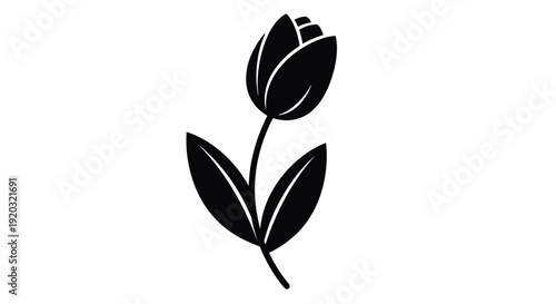 Black Silhouette of a Single Tulip Flower with Leaves.