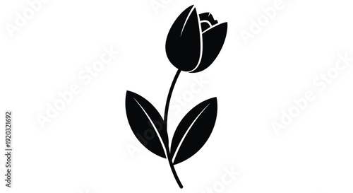 Elegant Black Silhouette of a Single Tulip Flower.
