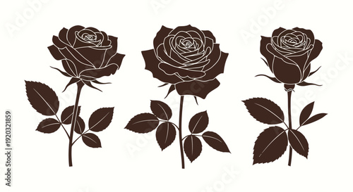 Three Dark Rose Silhouettes with Detailed Petals and Leaves.