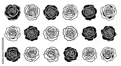 Collection of Black and White Rose Illustrations.