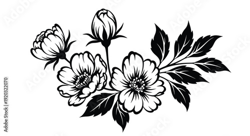 Elegant Black and White Floral Illustration with Blossoms and Leaves.