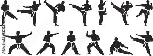 Large collection of black silhouettes featuring martial artists performing karate kicks punches and combat stances isolated on white background for sports and fitness design