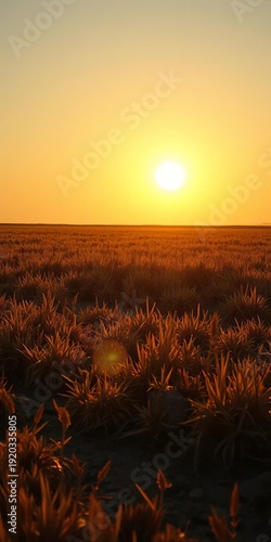 Golden sun bleeds across a fading saltmarsh canvas, whispering stories of tides past,  brackish water, saltmarsh