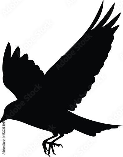 A bird caught mid-action, taking flight with wings strongly beating downwards, pure black silhouette, a clean white background