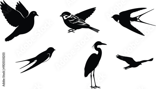 A collection of 5 distinct, simple bird silhouettes, including a dove, sparrow, swallow, heron, and a generic flying bird, presented as individual pure black shapes, a clean white background