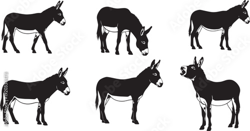Minimalist silhouette illustration displaying six donkeys in two rows, each facing different directions with perked ears on a plain white backdrop