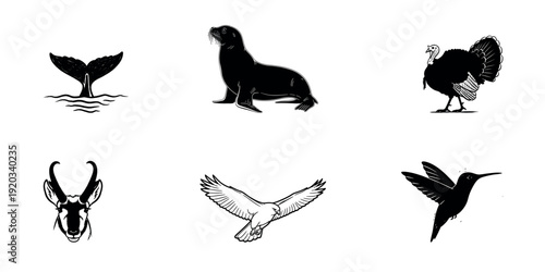 Silhouette illustrations of various animal tails and figures