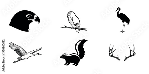 Collection of six animal illustrations in black and white