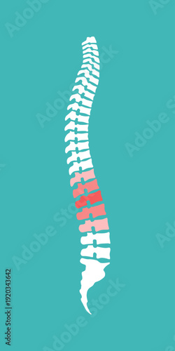 Spine human graphic icon. Backache sign in the circle isolated on green background. Vector illustration 