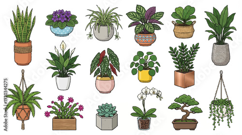 collection of potted plants and flowers in various pots and planters on white background