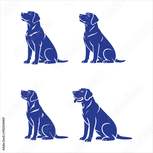 Labrador Sitting Obedience Pose